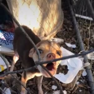 Meet your Posher, Akenya